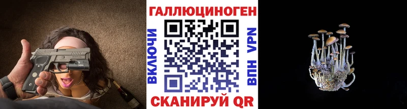 Галлюциногенные грибы Magic Shrooms  Купить  Цивильск 